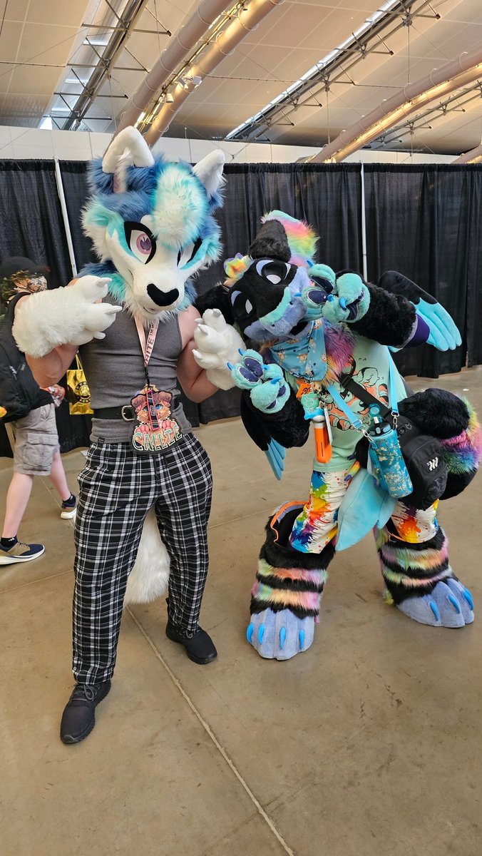 Some anthrocon pics!
#Furry #fursuit #anthrocon2025