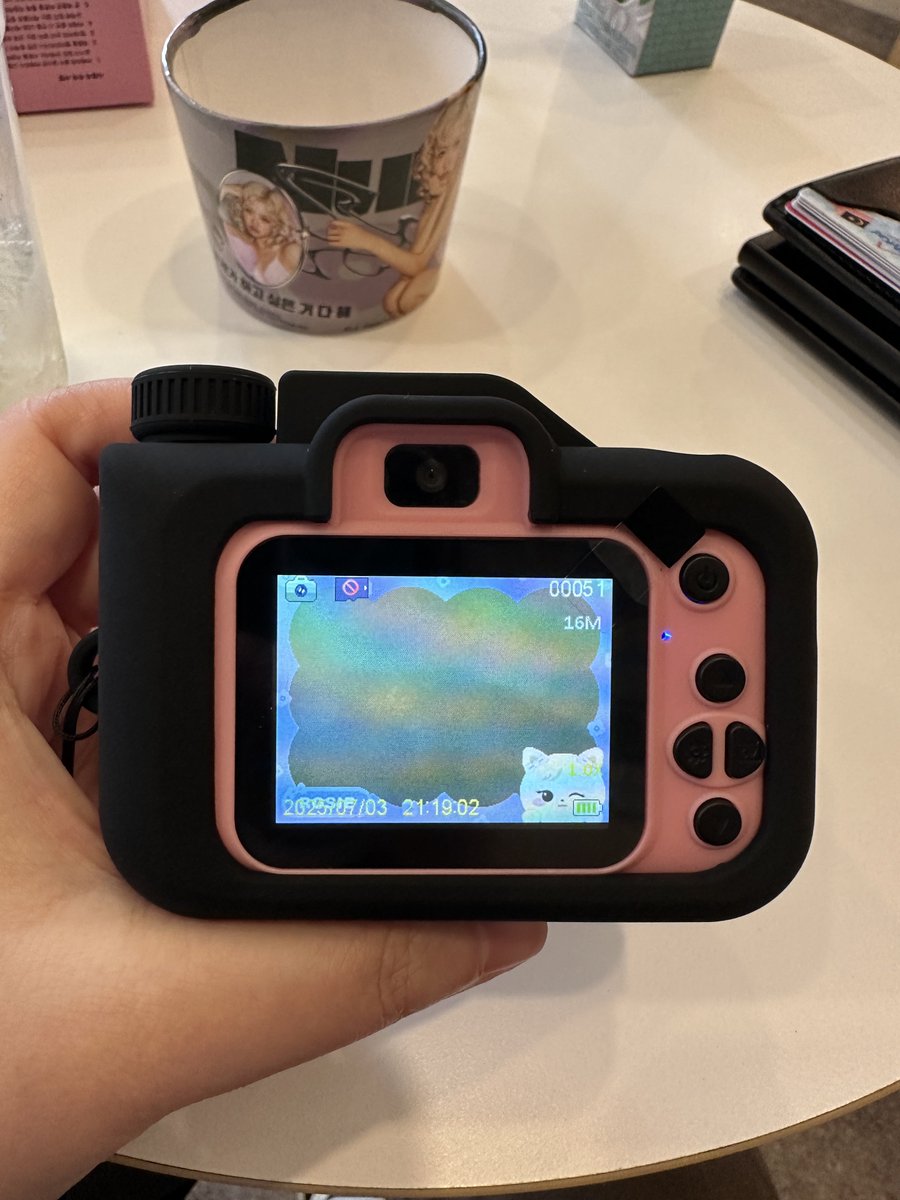 Ok the camera is worth the money