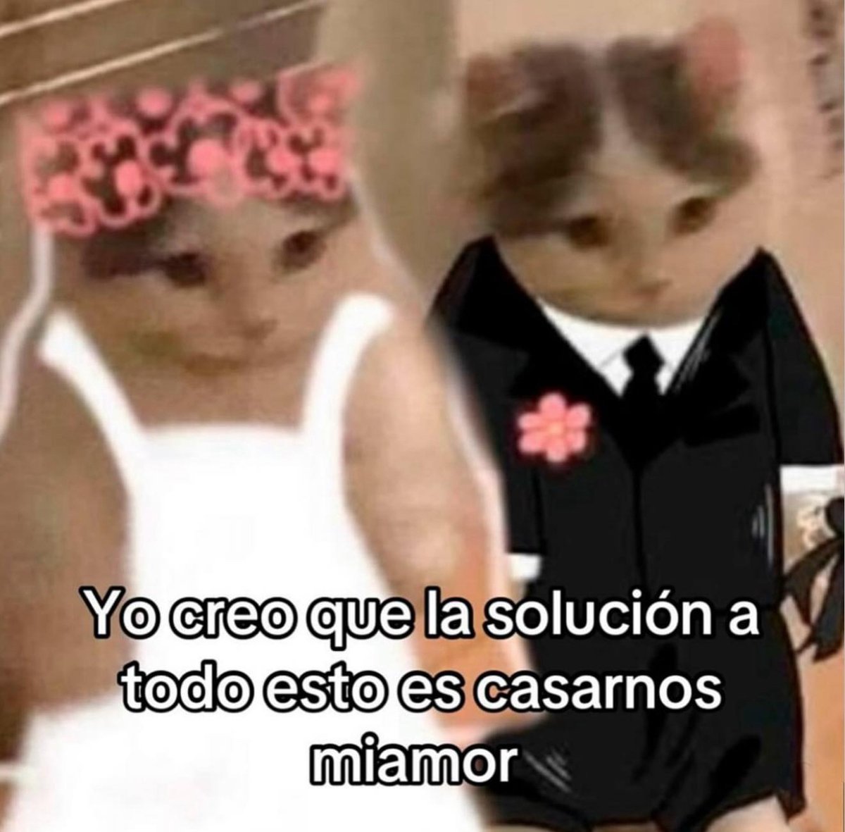 Yo creo.