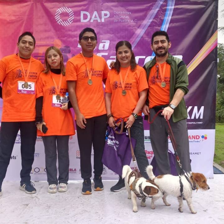 Instituto de Bienestar Animal PUE (@ibagobpue) on Twitter photo 🐾 En el <a href="/Gob_Puebla/">Gobierno de Puebla</a> asistimos a la 3ra Carrera Altruista Pet Friendly organizada por <a href="/DonadoresAP/">Donadores Altruistas de Puebla, A.C.</a>.
✅ En el evento se realizaron revisiones médicas antes y después de la carrera, para verificar que los peludos se encontraban en óptimas condiciones y garantizar su seguridad. 🐾 En el <a href="/Gob_Puebla/">Gobierno de Puebla</a> asistimos a la 3ra Carrera Altruista Pet Friendly organizada por <a href="/DonadoresAP/">Donadores Altruistas de Puebla, A.C.</a>.
✅ En el evento se realizaron revisiones médicas antes y después de la carrera, para verificar que los peludos se encontraban en óptimas condiciones y garantizar su seguridad.