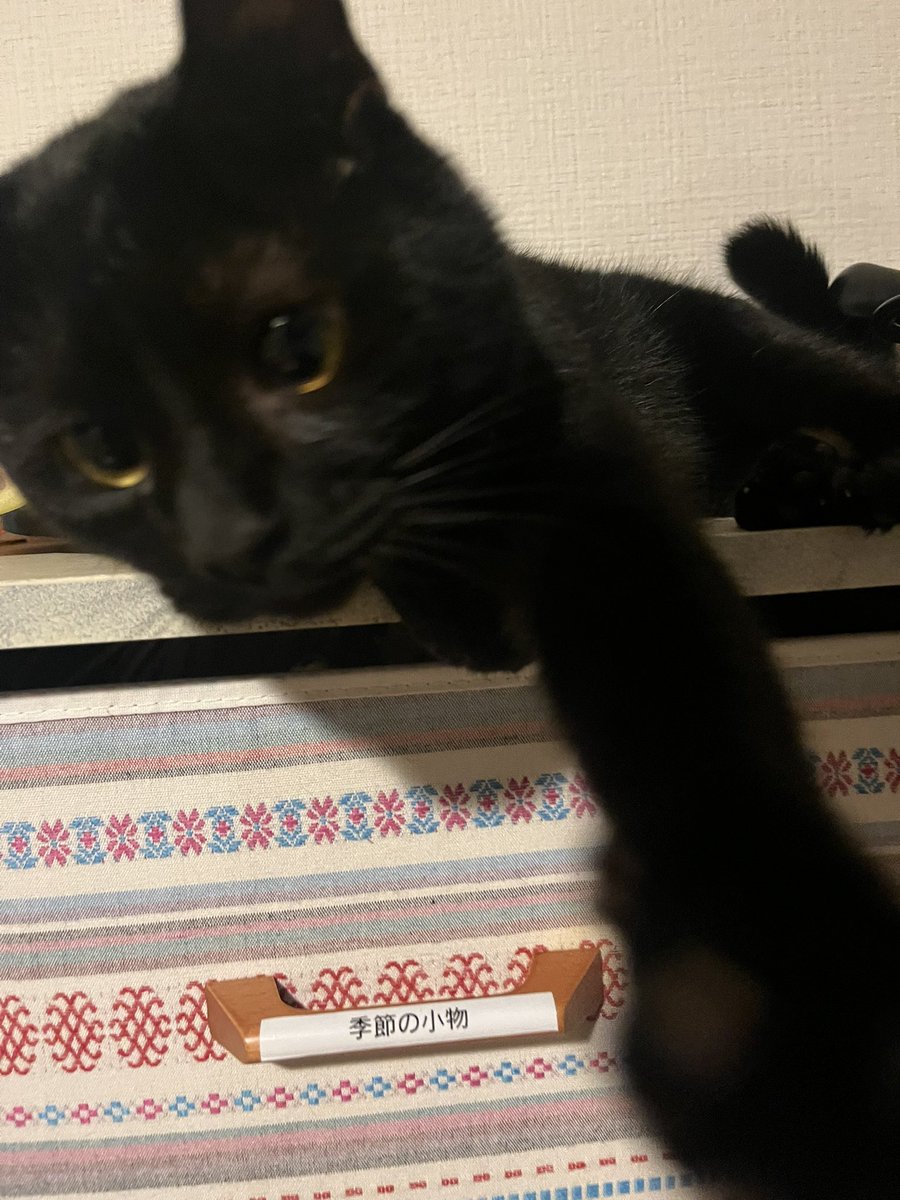 アクアマン tweet media