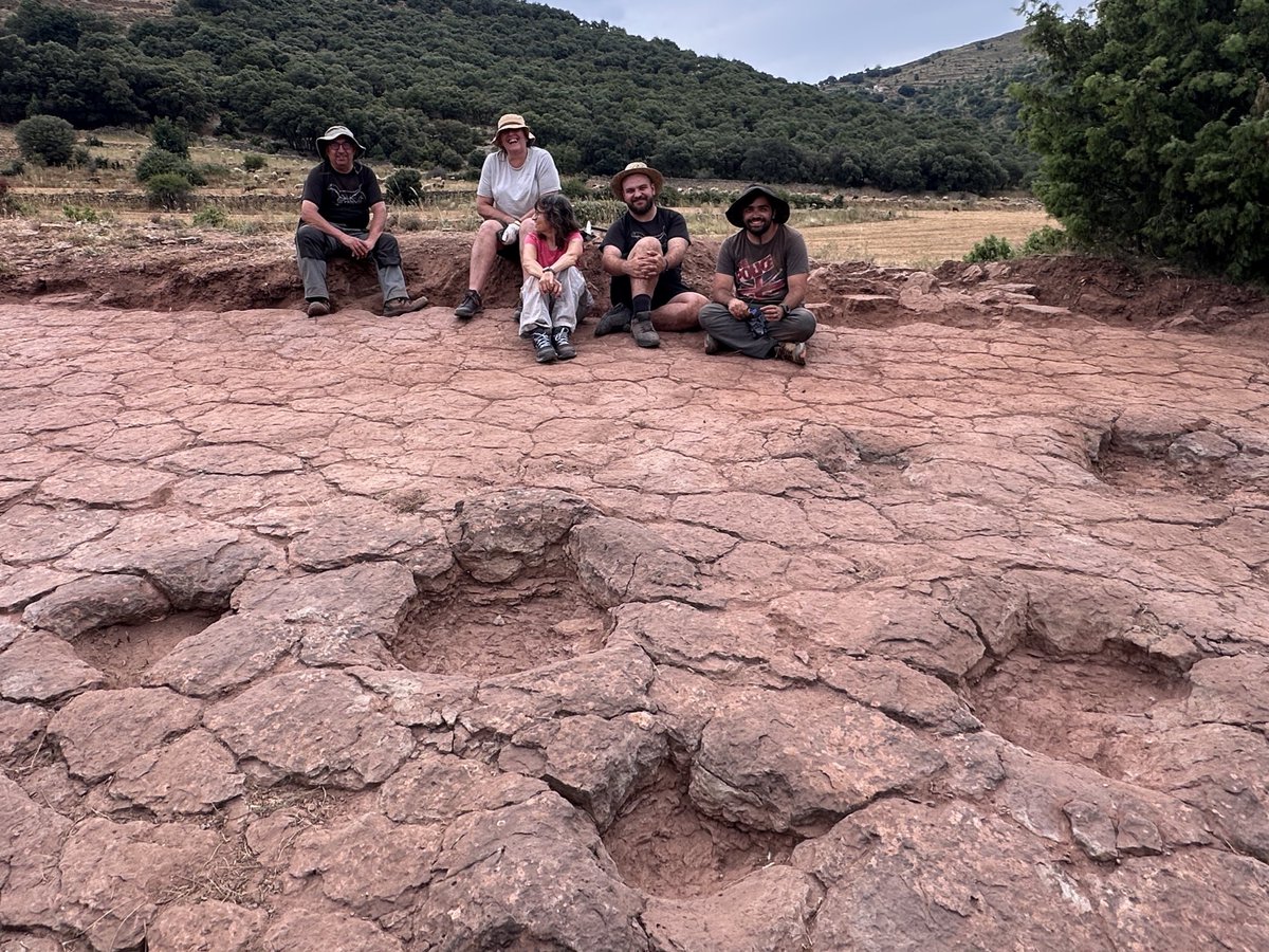 Justo cuando acabábamos de fregar
 #Huellas de #dinosaurios #saurópodos del #Cretácico de #Morella.