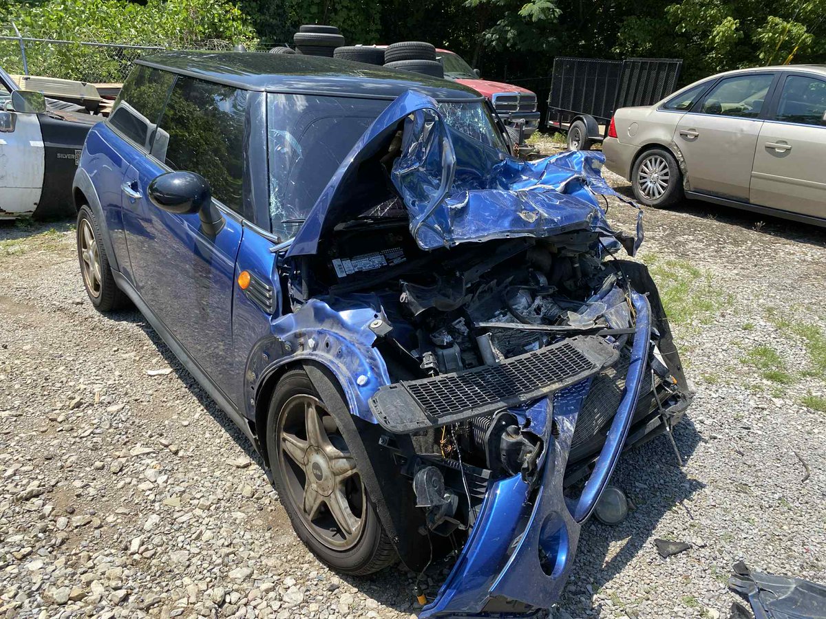 Immorpher tweet media