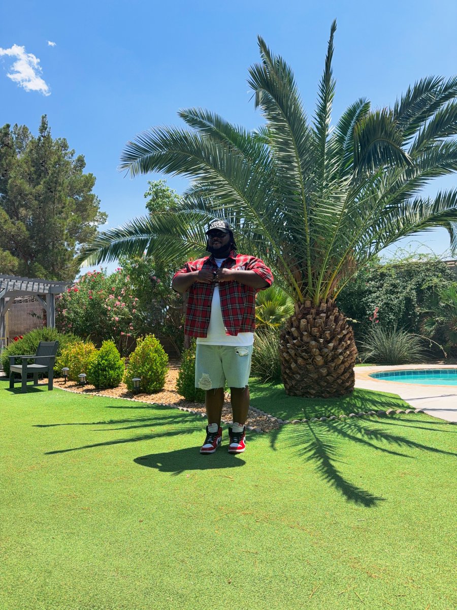 JordanWGaming's tweet image. out here where the raiders live 🌴☀️