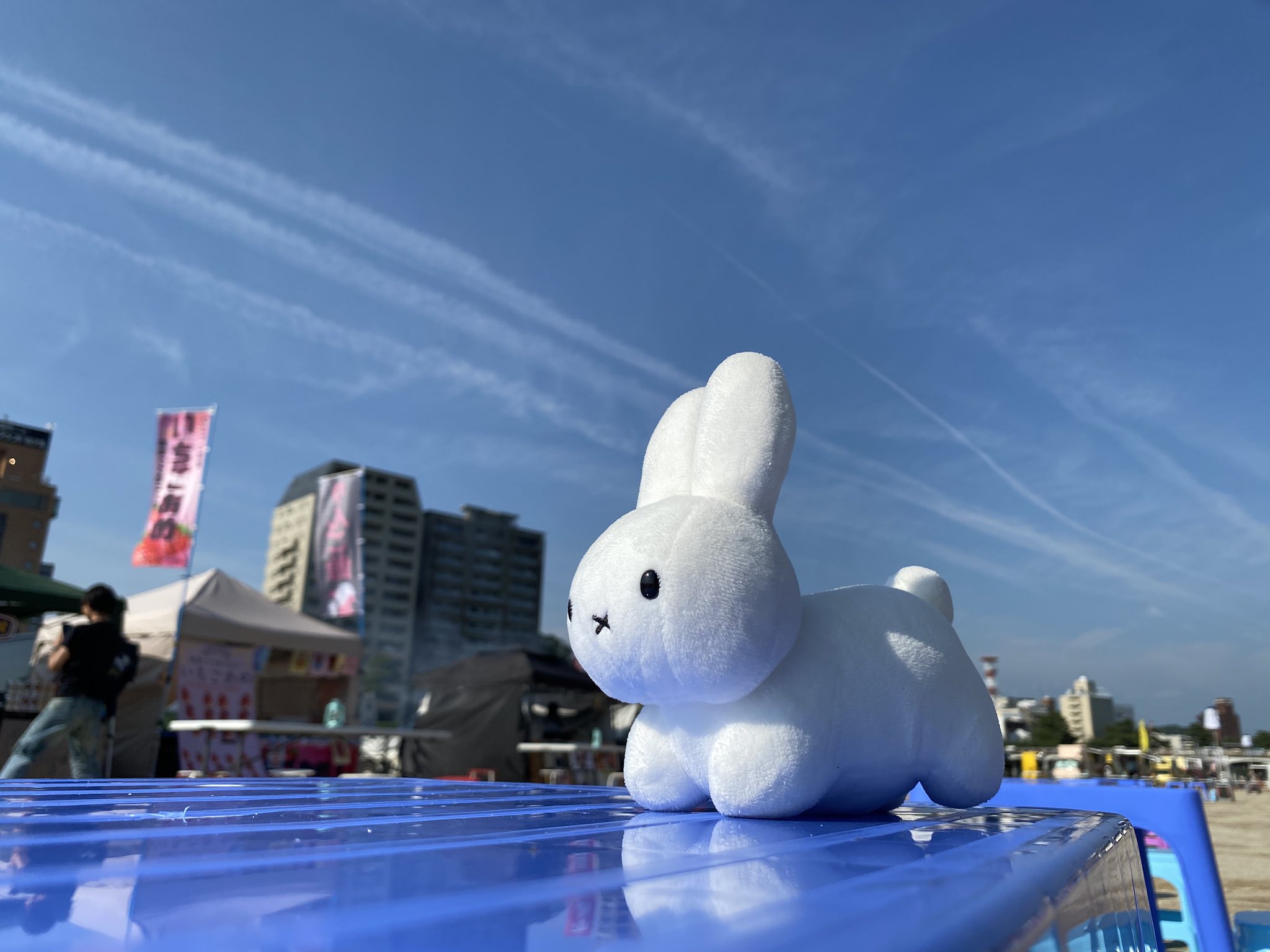 野うさぎ様 hqdefault.jpg