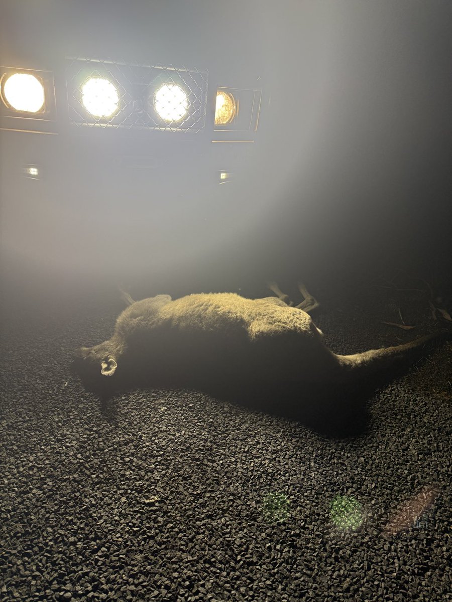 Tim Leeming tweet media