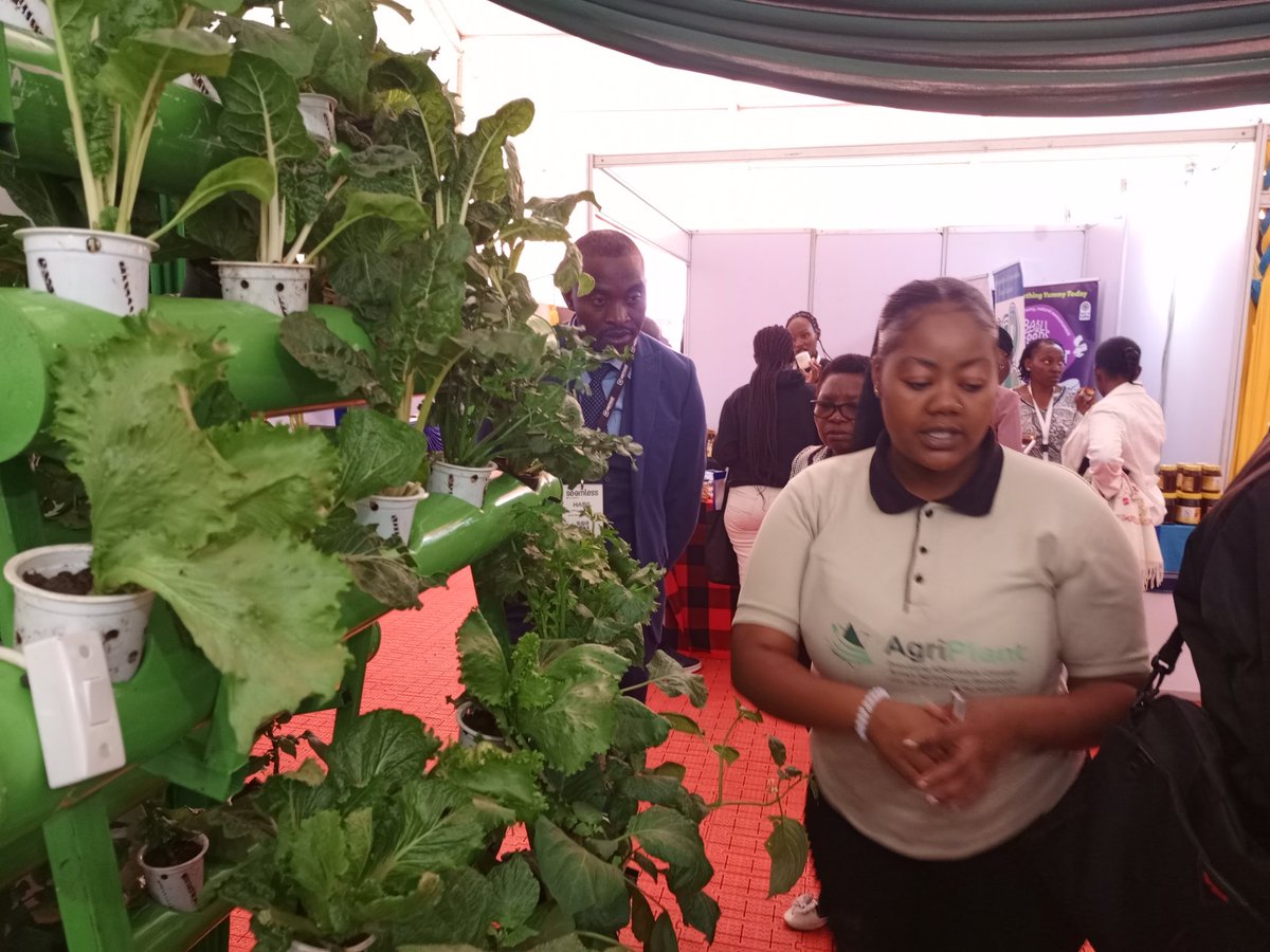 Our automated portable kitchen gardens stole the show at #KDCForum  #NextFrontierAfrica2025
Perfect for homes, schools &amp; urban spaces.
💧 Self-watering
🌿 Space-saving
📍Call us on 0768650874
#UrbanFarming #hydroponics <a href="/SDG2030/">SDG2030</a> <a href="/FAO/">Food and Agriculture Organization</a> #GreenCities2040
