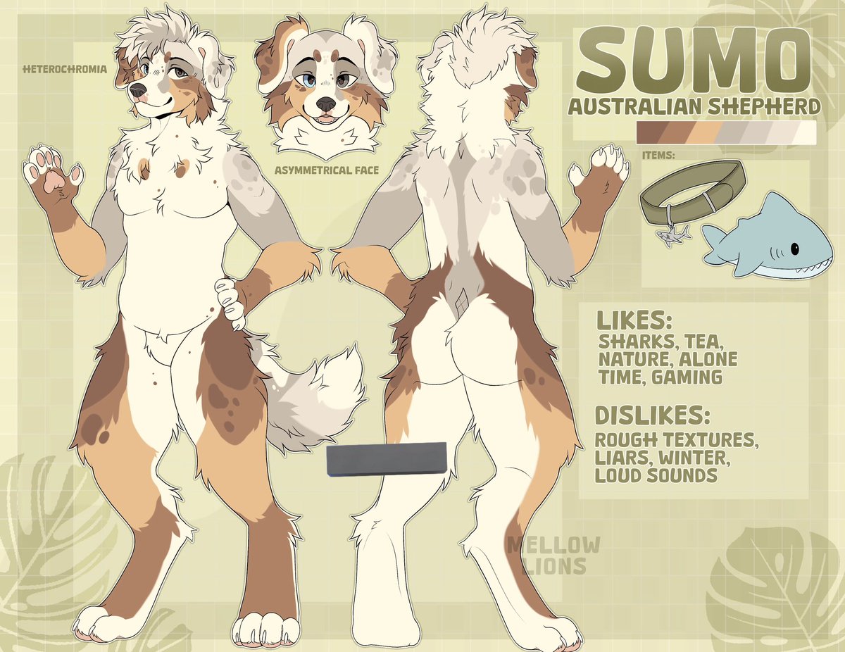 pawnuki's tweet photo. ref sheet for my new sona!! art fight is the same name as here if you like him >:3 https://t.co/28B7GcgXwe