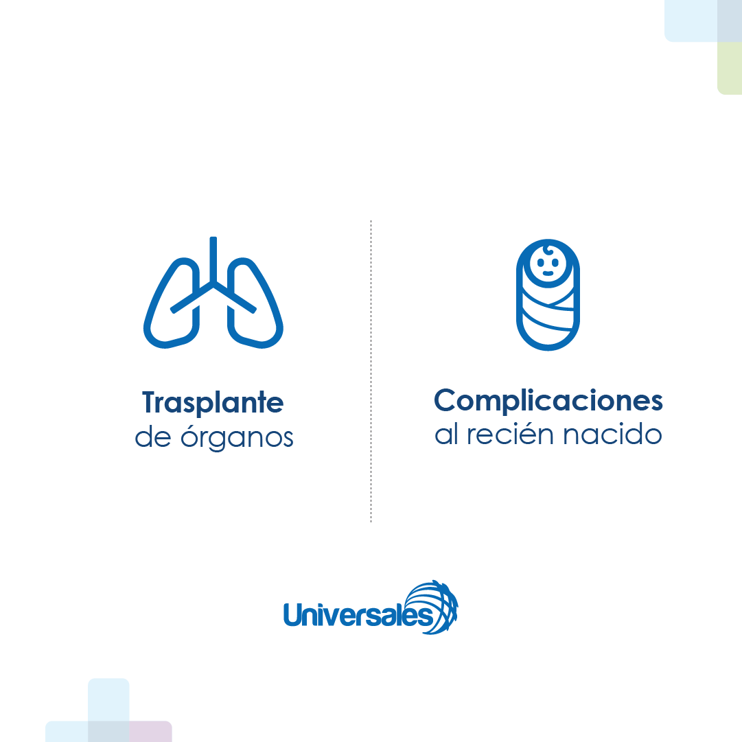 suniversales's tweet photo. Gracias a la preferencia de nuestros clientes, UH PLUS se ha consolidado como uno de nuestros seguro de gastos médicos más exitoso. 🛡️👨‍👩‍👧‍👦

¡Te invitamos a descubrirlo hoy mismo!
https://t.co/3mmEjajuvK​

#UHPlus #UniversalesEsBienestar https://t.co/uvNnkOwGNE