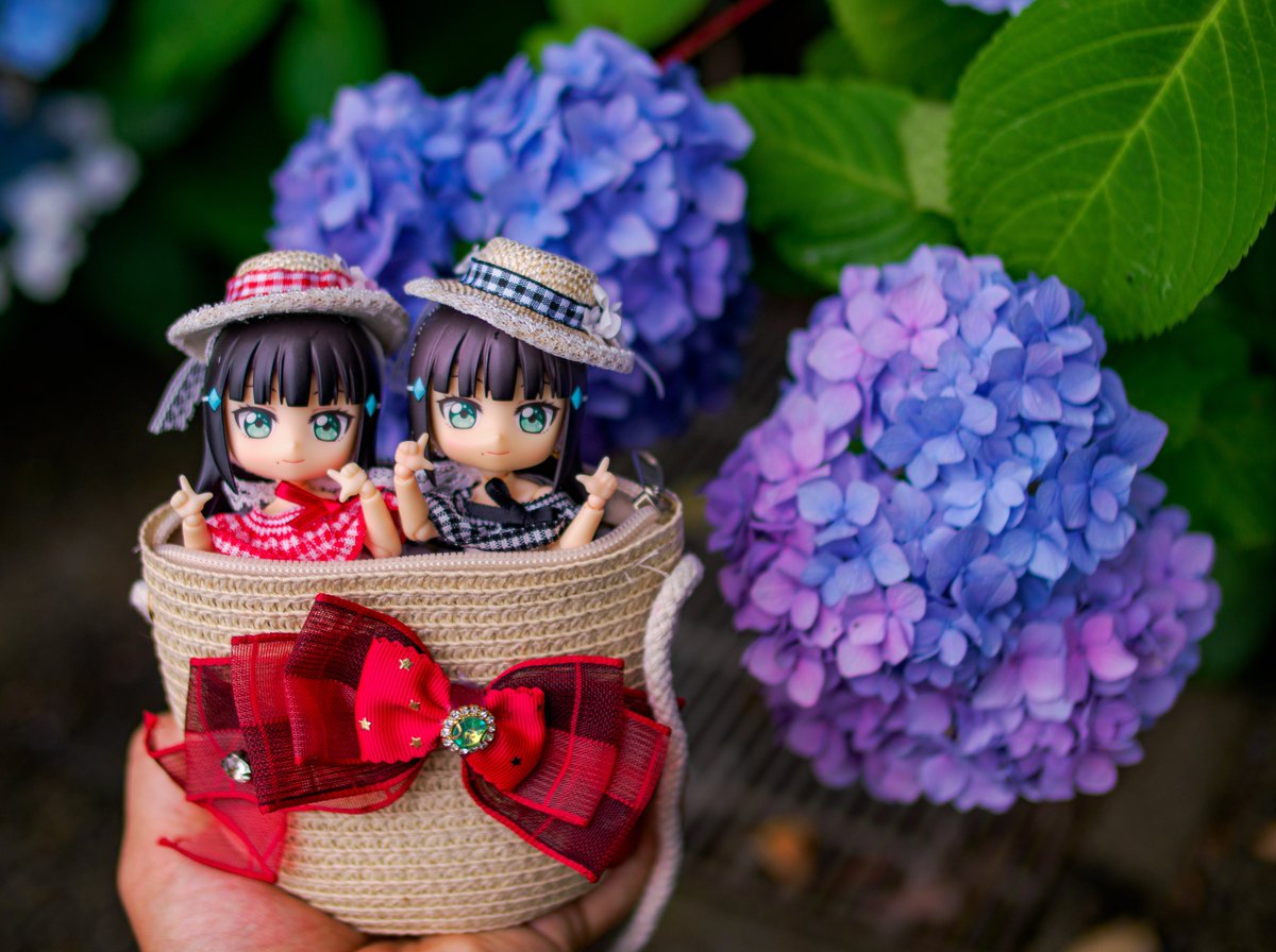 shiratorisan_V2's tweet image. #7月になったのでフォロワーさんに自己紹介

よくお外でかわいいモデルさん撮ってます📸✨
