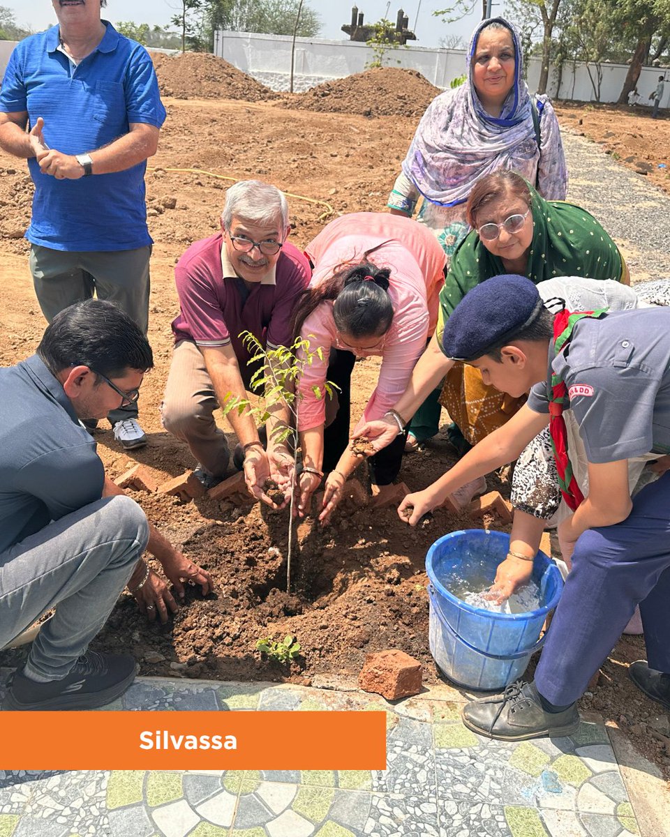 Under the Roots for Change initiative, Ismaili CIVIC volunteers of all ages across India came together with a shared purpose. With every tree planted, they’re advancing the goal of 1 million trees — and growing a greener, healthier future through unity, action, and environmental