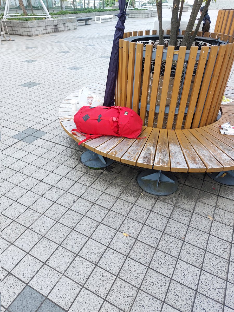 長谷川くん発見💡

おーい、そんなとこで丸くなってると熱中症に…

…長谷川くん？