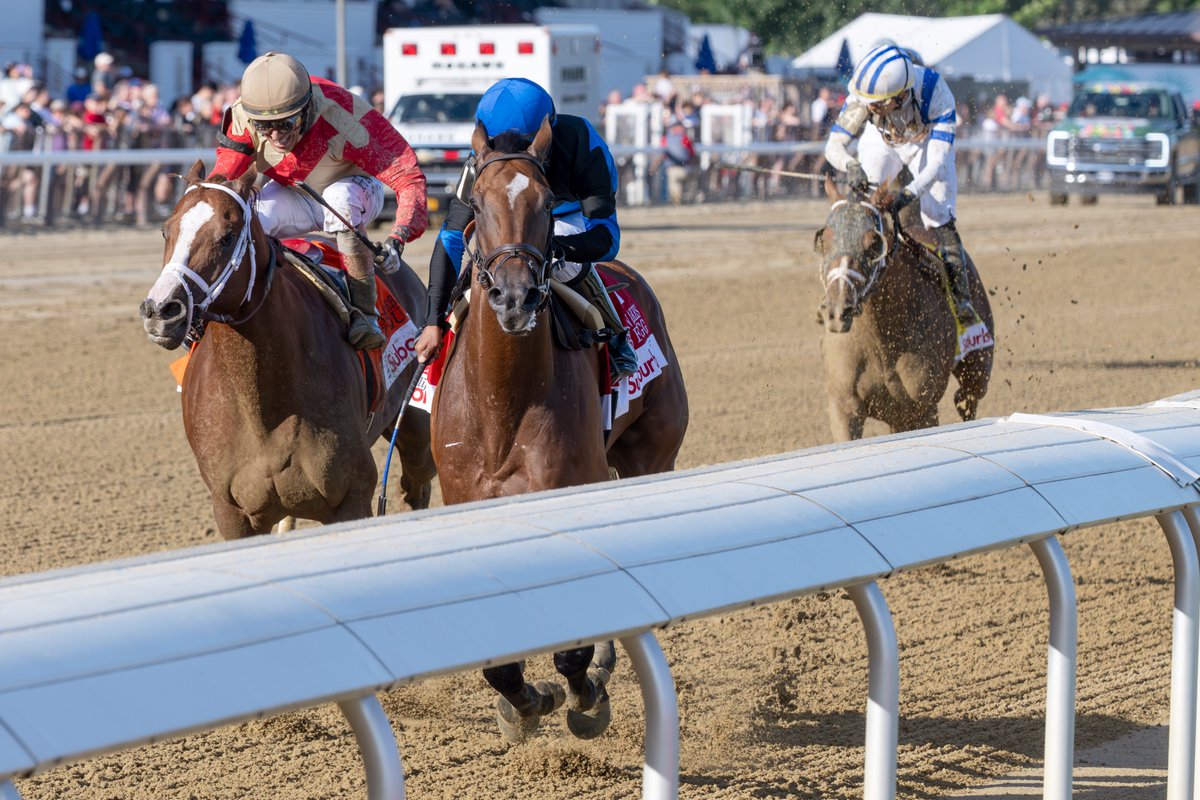 EricaPhotog's tweet image. Phileas Fogg, trained Gustavo Rodriguez and ridden @KendrickCarmou1, wins the Grade II Suburban Stakes #SaratogaRaceCourse #Saratoga