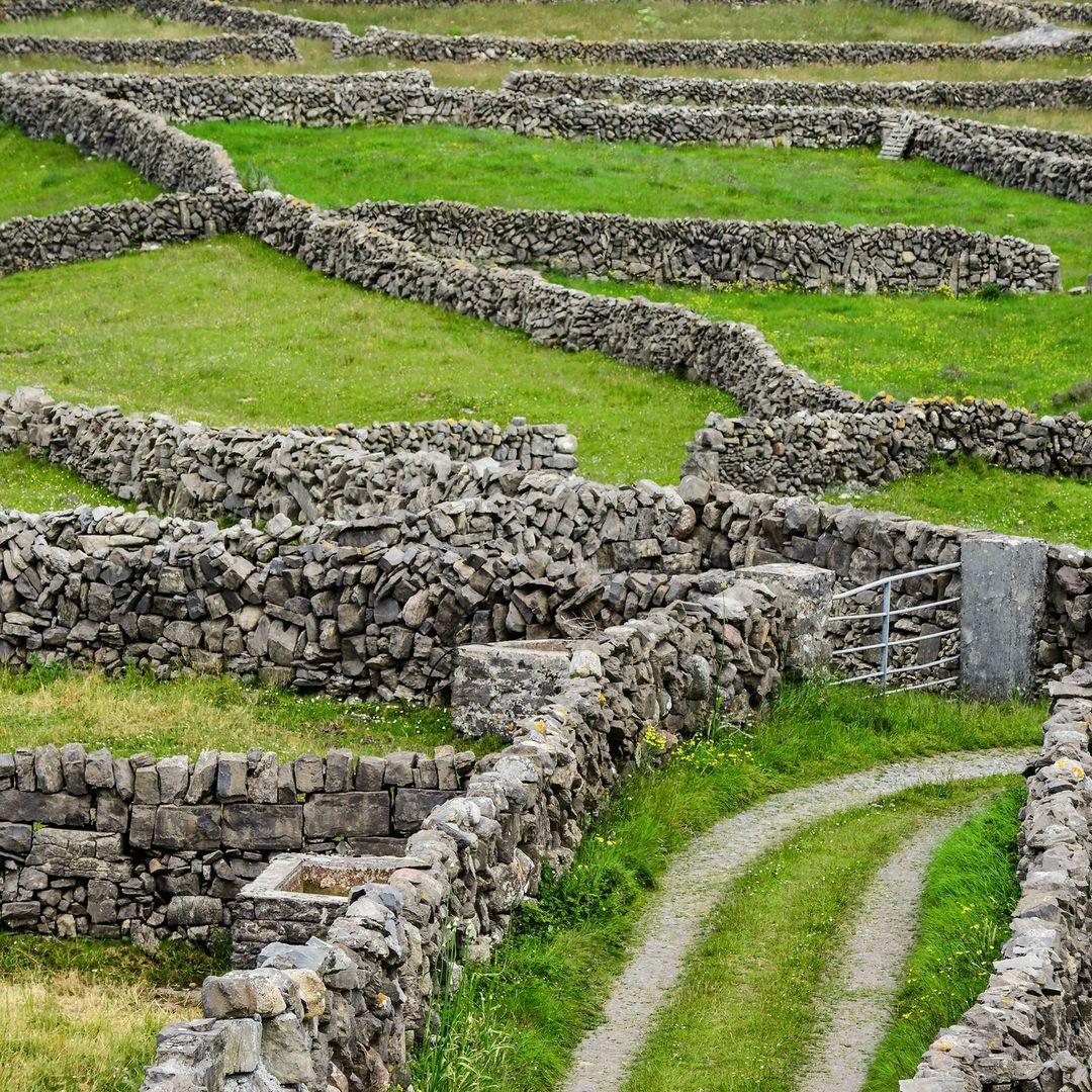 Have you navigated the maze of hand-built dry stone fences on Inishmore, Aran Islands, County Galway, Ireland? 🌿✨ Dive into Irish landscapes!