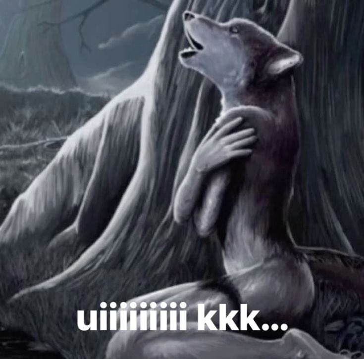 SEXTOUU
twitch.tv/lolsaori