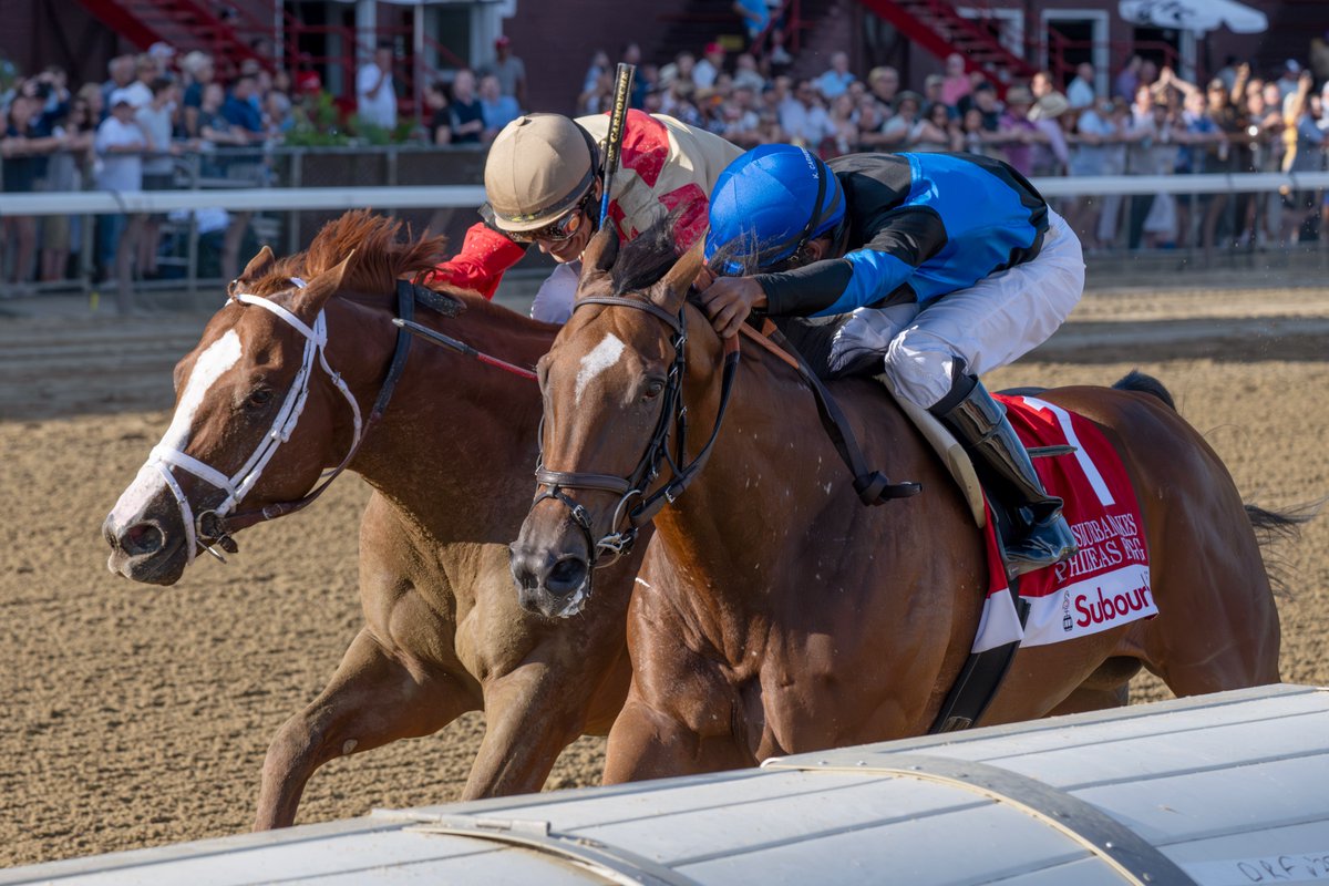 EricaPhotog's tweet image. Phileas Fogg, trained Gustavo Rodriguez and ridden @KendrickCarmou1, wins the Grade II Suburban Stakes #SaratogaRaceCourse #Saratoga