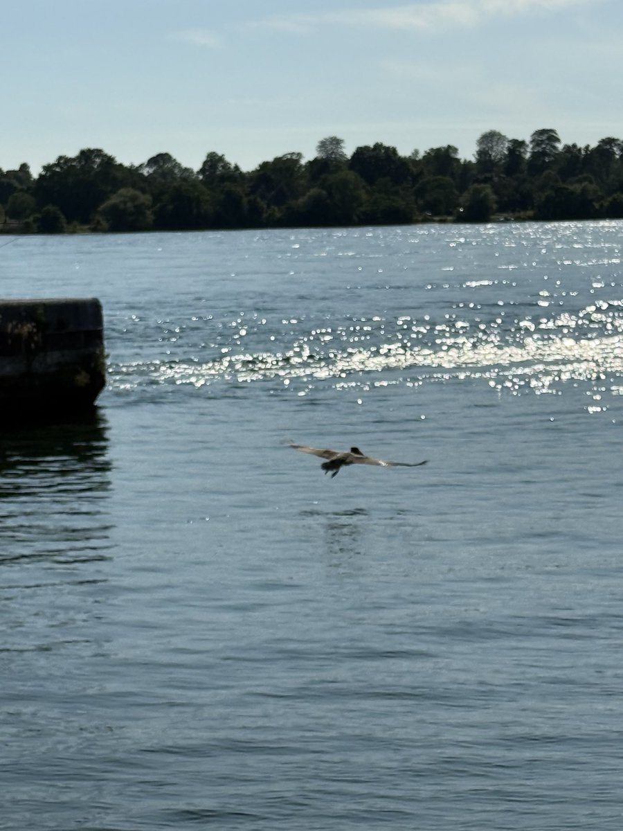 Ed Drantch tweet media