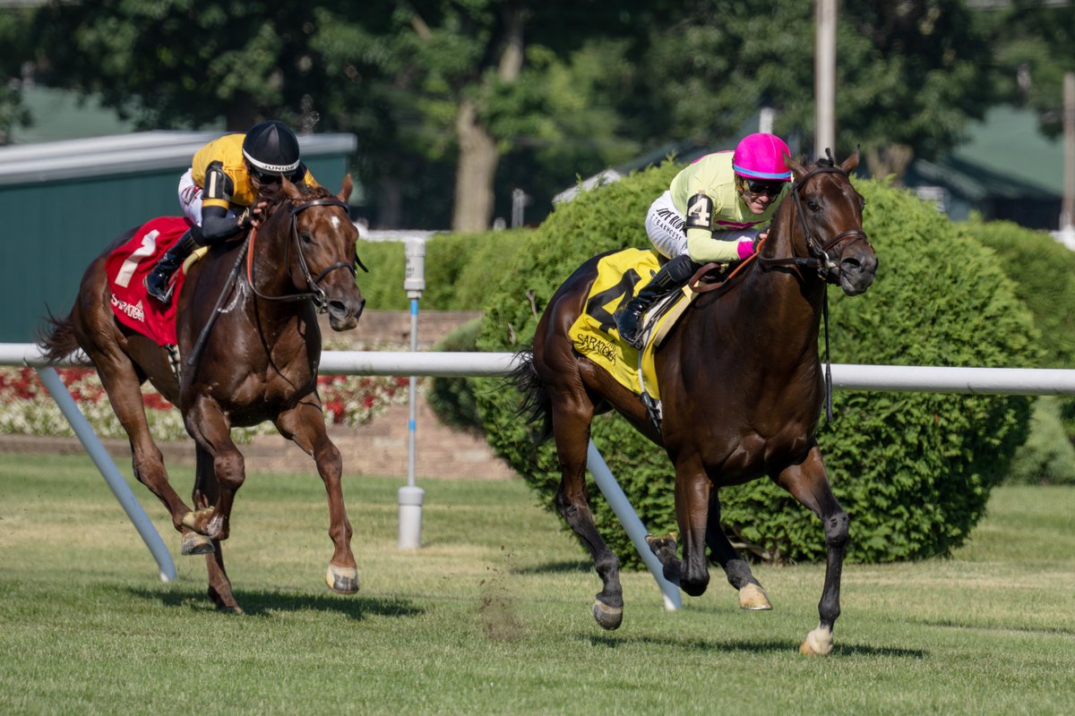 EricaPhotog's tweet image. Zulu Kingdom, trained by Chad Brown and ridden by Flavien Prat, wins the Grade II Manila Stakes #SaratogaRaceCourse #Saratoga