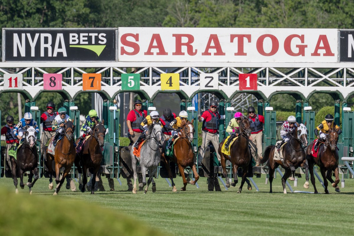 EricaPhotog's tweet image. Zulu Kingdom, trained by Chad Brown and ridden by Flavien Prat, wins the Grade II Manila Stakes #SaratogaRaceCourse #Saratoga