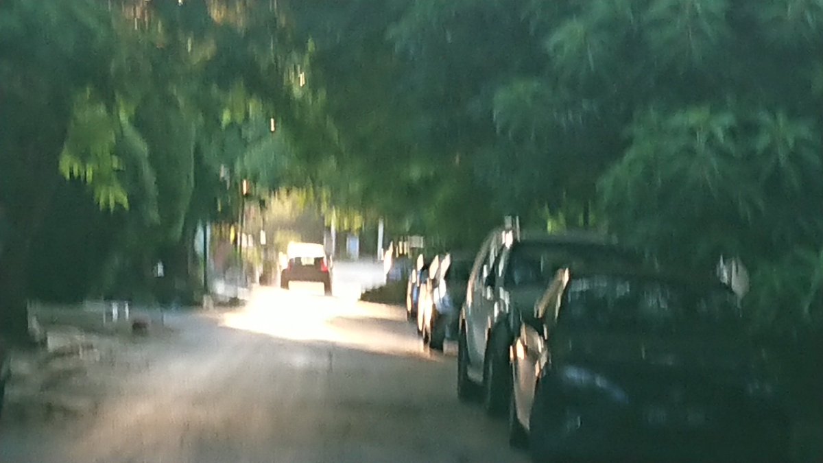 I took this picture I thought it was cool