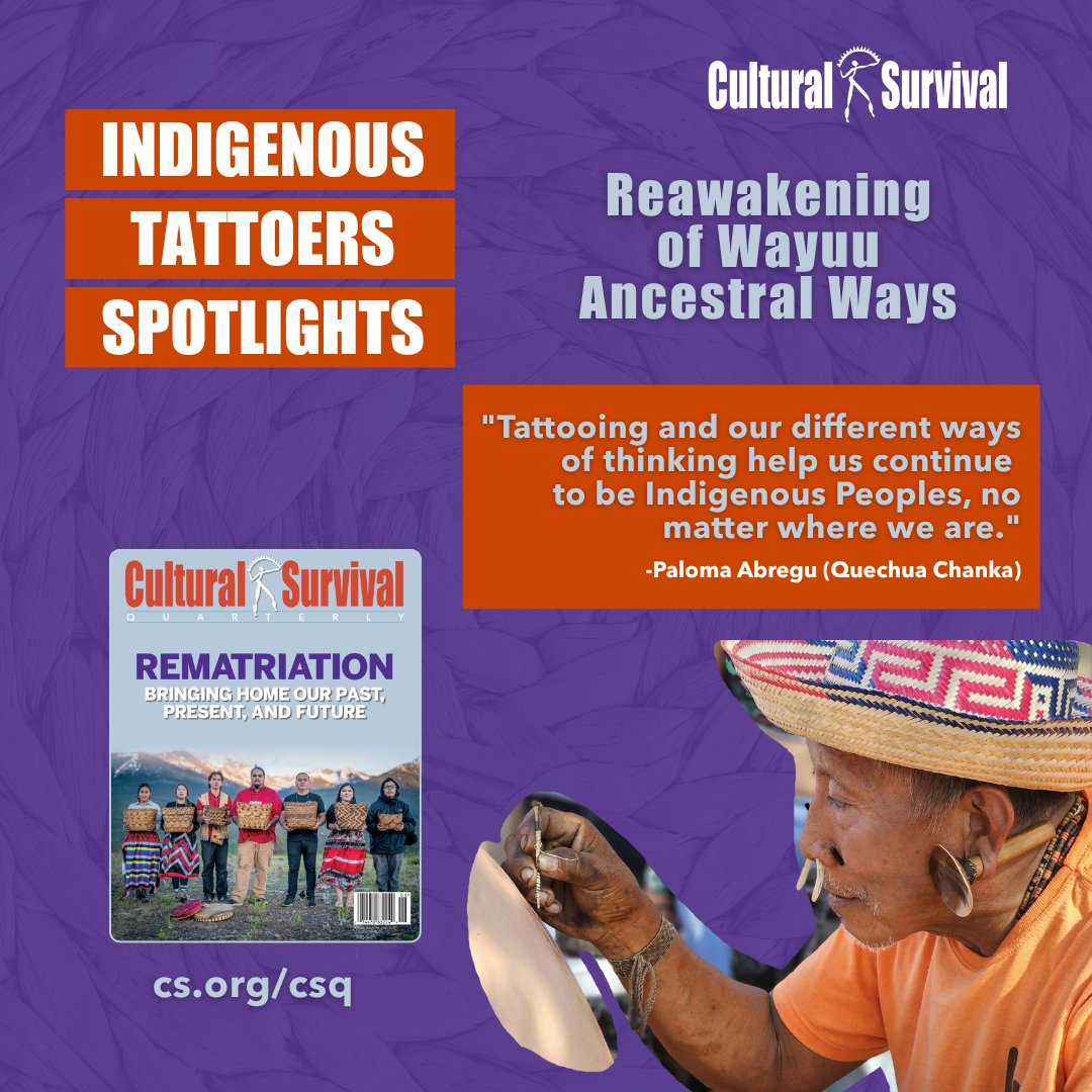 In our latest #CSQ issue on #Rematriation, Paloma Abregu (Quechua Chanka) shares reflections from the 1st International Gathering of Indigenous Tattoo and Ancestral Markings, hosted by the Wayuu community in Colombia. #IndigenousRights 

Read here: culturalsurvival.org/publications/c…