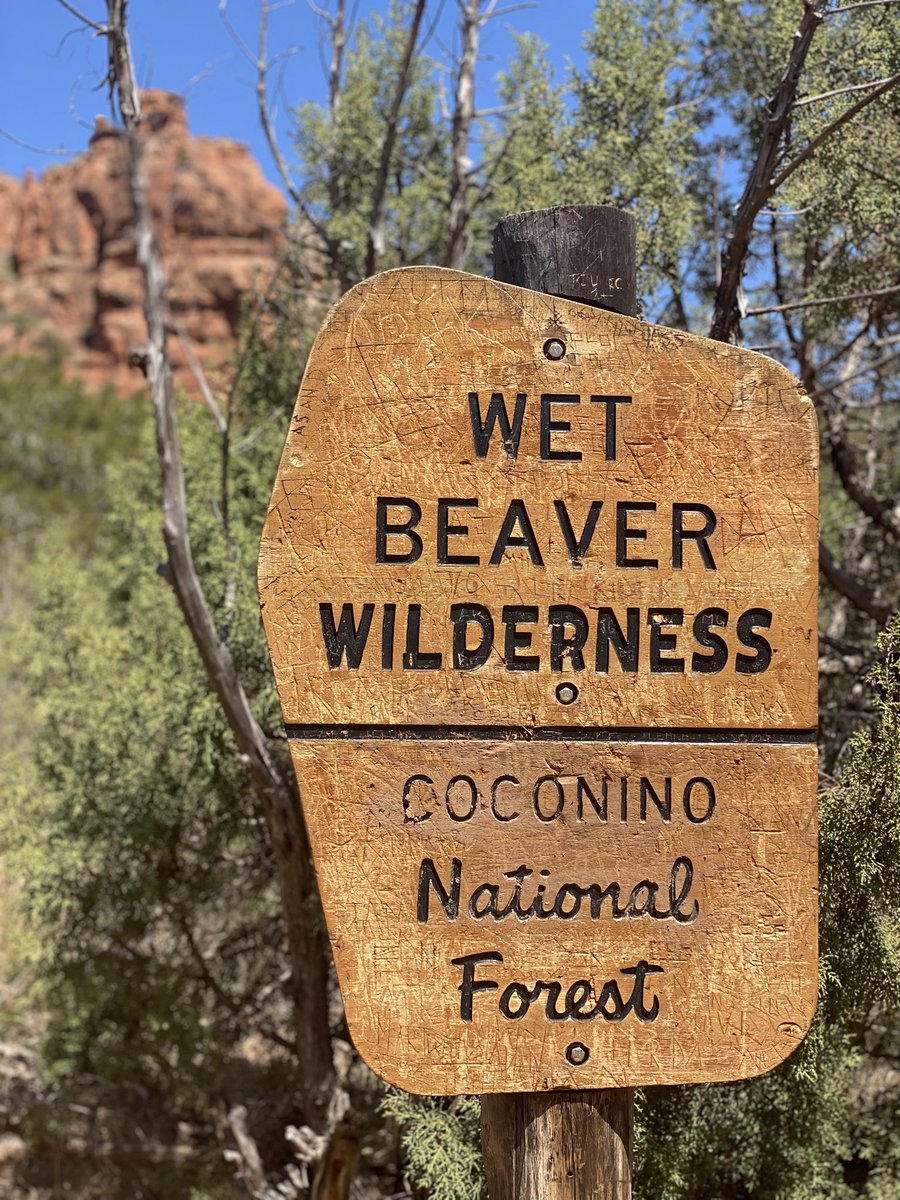 Wet Beaver? Say less