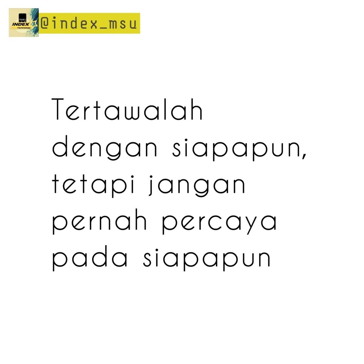 A L C H E 💫 tweet media