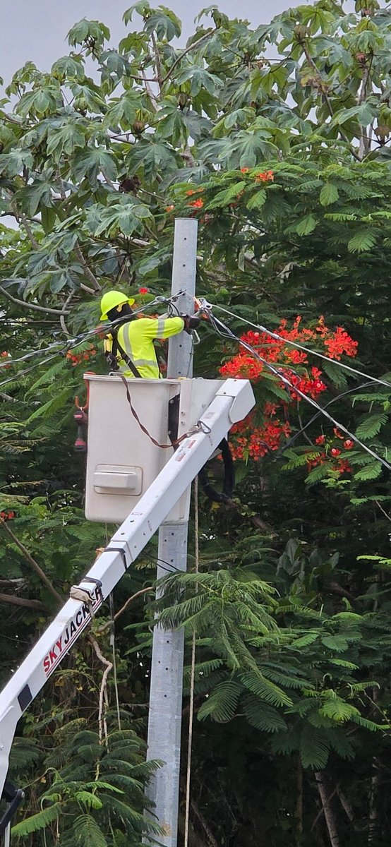 Agradezco a esta brigada que desde ayer ha estado ayudando a la comunidad en el Bo. Arenales Altos. GRACIAS🤝🏻🫶🏻👷🏻 <a href="/lumaenergypr/">LUMA Puerto Rico</a>