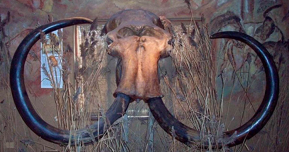 Explore the sunken world of Doggerland – Europe’s lost land.