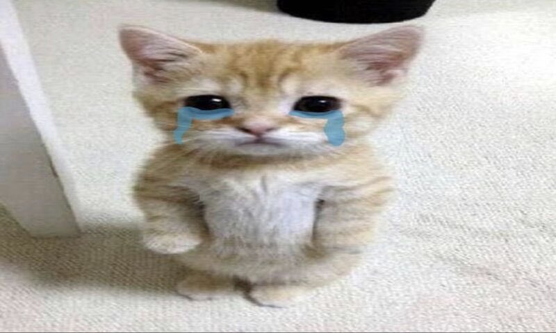 <a href="/TouchlineX/">The Touchline | 𝐓</a> This is so heartbreaking💔 
And you know life just continues and people will forget about Diogo except for his family Ghana