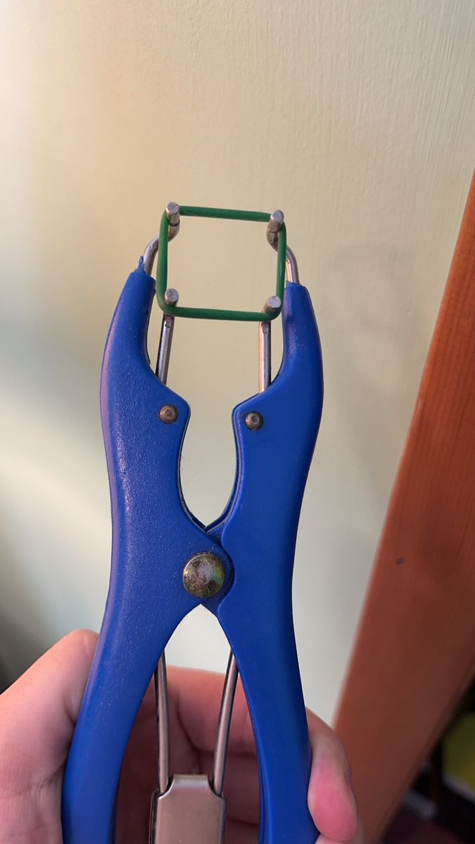 scrambledeggs27's tweet photo. This is a BNWO tool for curing wh*teness.

wh*tebois, this is a device to help alleviate your wh*te guilt, to pay your reparations, and your ultimate submission to the BNWO. 

Are you going to be a good wh*teboi?

#bnwo #oblm #wldm #kaw #castration #elastration #elastrator https://t.co/yRZhw1vFmn
