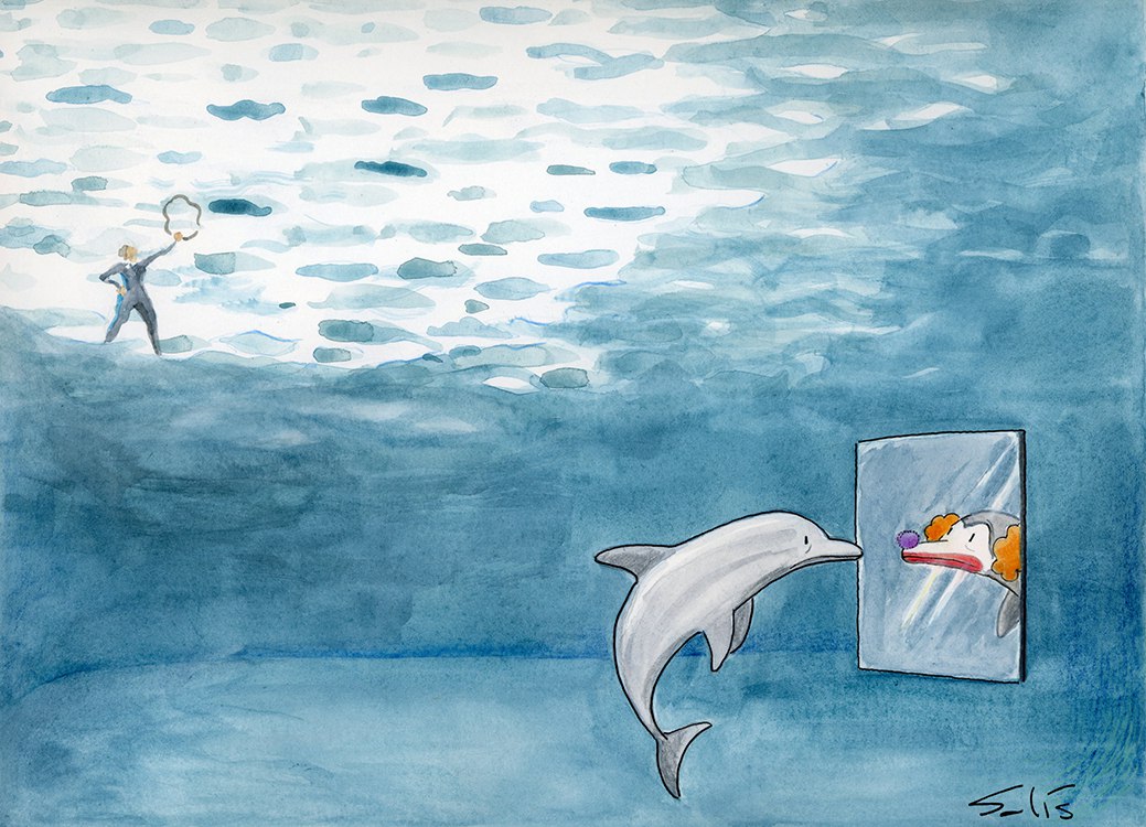 RED AMLO BC (@redamlobc) on Twitter photo En este #DíaMundialDelfinesEnCautiverio, recordamos: su lugar es el océano. Gracias a la #LeyMincho, la esperanza es real. ¡Por un #MéxicoSinDelfinarios y porque #ElFuturoSonSantuarios! En este #DíaMundialDelfinesEnCautiverio, recordamos: su lugar es el océano. Gracias a la #LeyMincho, la esperanza es real. ¡Por un #MéxicoSinDelfinarios y porque #ElFuturoSonSantuarios!