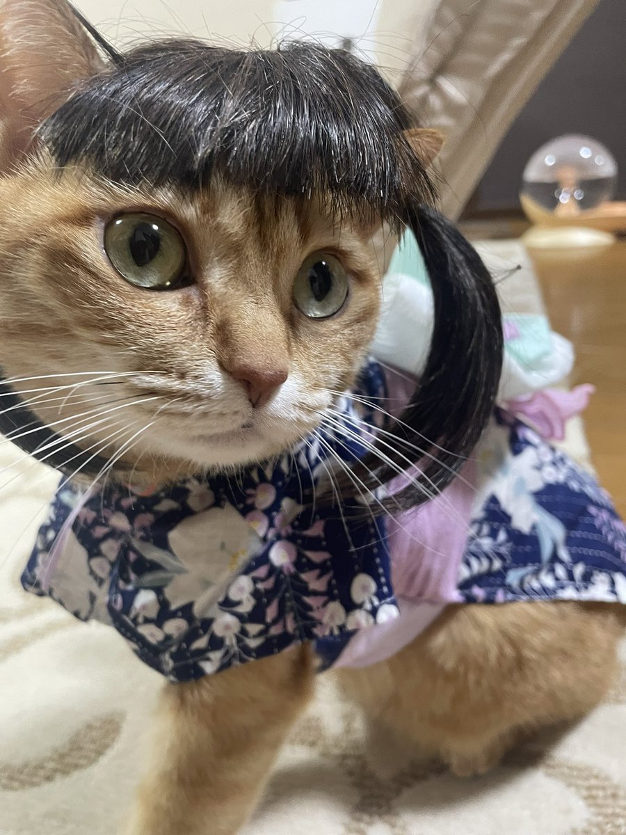 きなこ (@kinako_tk_0705) / Posts / X