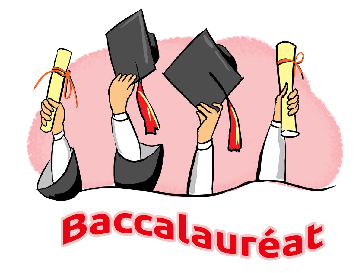 Toutes mes félicitations à la cohorte des bachelières et bacheliers de la promotion 2025 en #Guadeloupe. Courage à celles et ceux qui passeront les épreuves de rattrapage la semaine prochaine. Persévérance pour toutes et tous sur le chemin d’une excellence dont le pays a besoin.