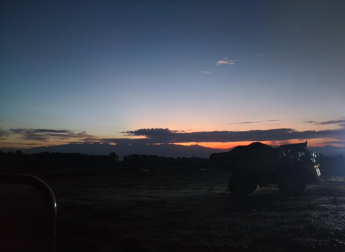 MS903™ tweet media