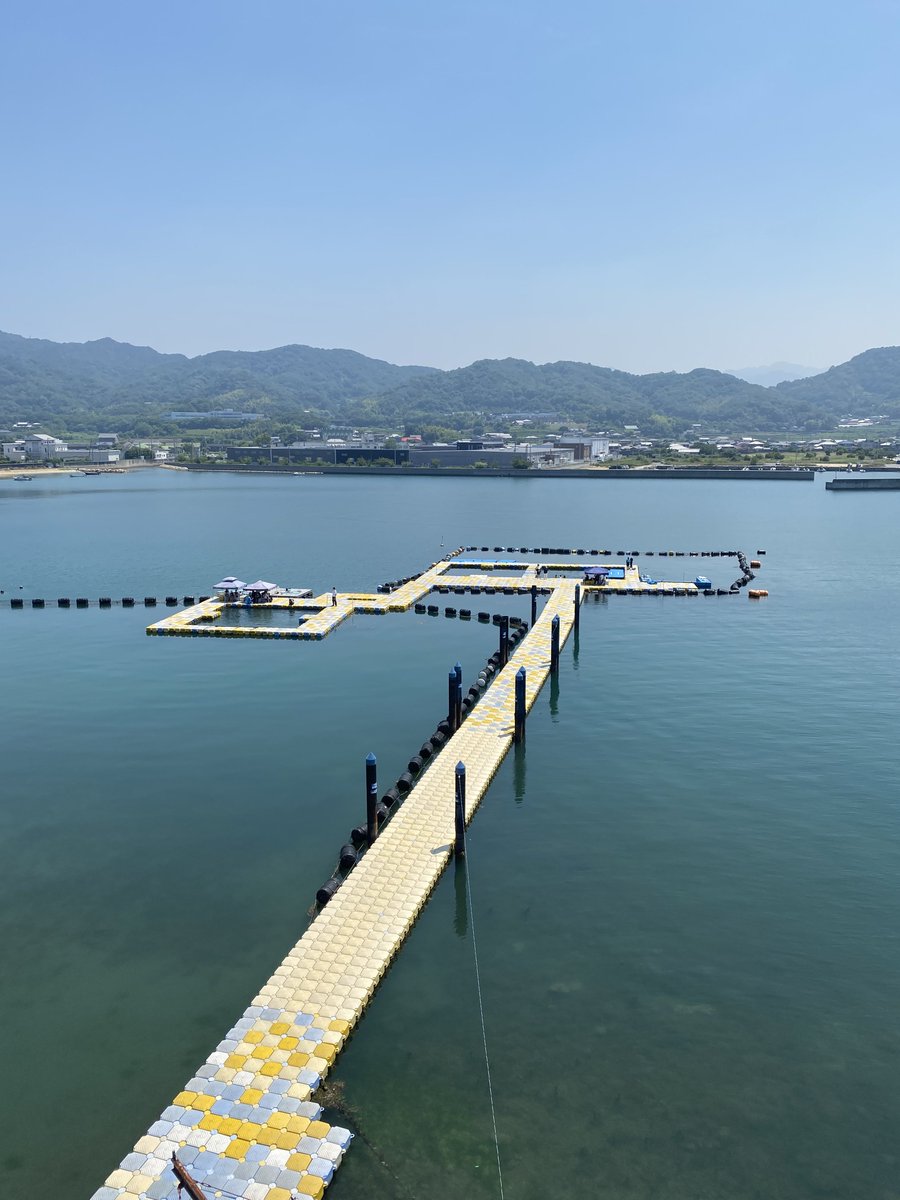 SleepdeeplyGG's tweet image. イルカ専門の水族館！！
「日本ドルフィンセンター」

海の中に作られた水槽？で至近距離からイルカが見れる！
しかも、ウェットスーツ着てイルカと泳ぐコーナーもある
とにかくイルカに特化してる！！ここまで近い距離感の水族館は初めてかも。