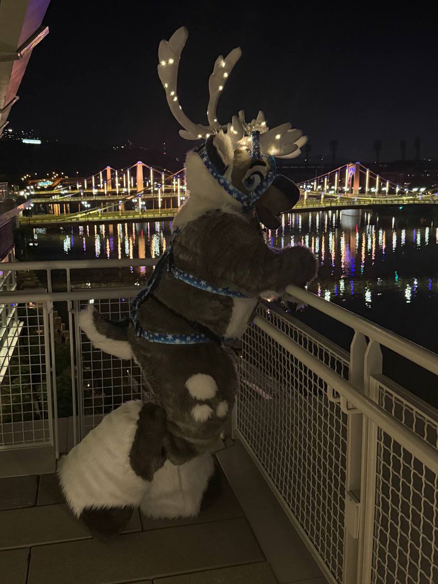 ❄️Aspen the Bou❄️ (they/he) 🏳️‍⚧️Θ∆ 🔜AC tweet media