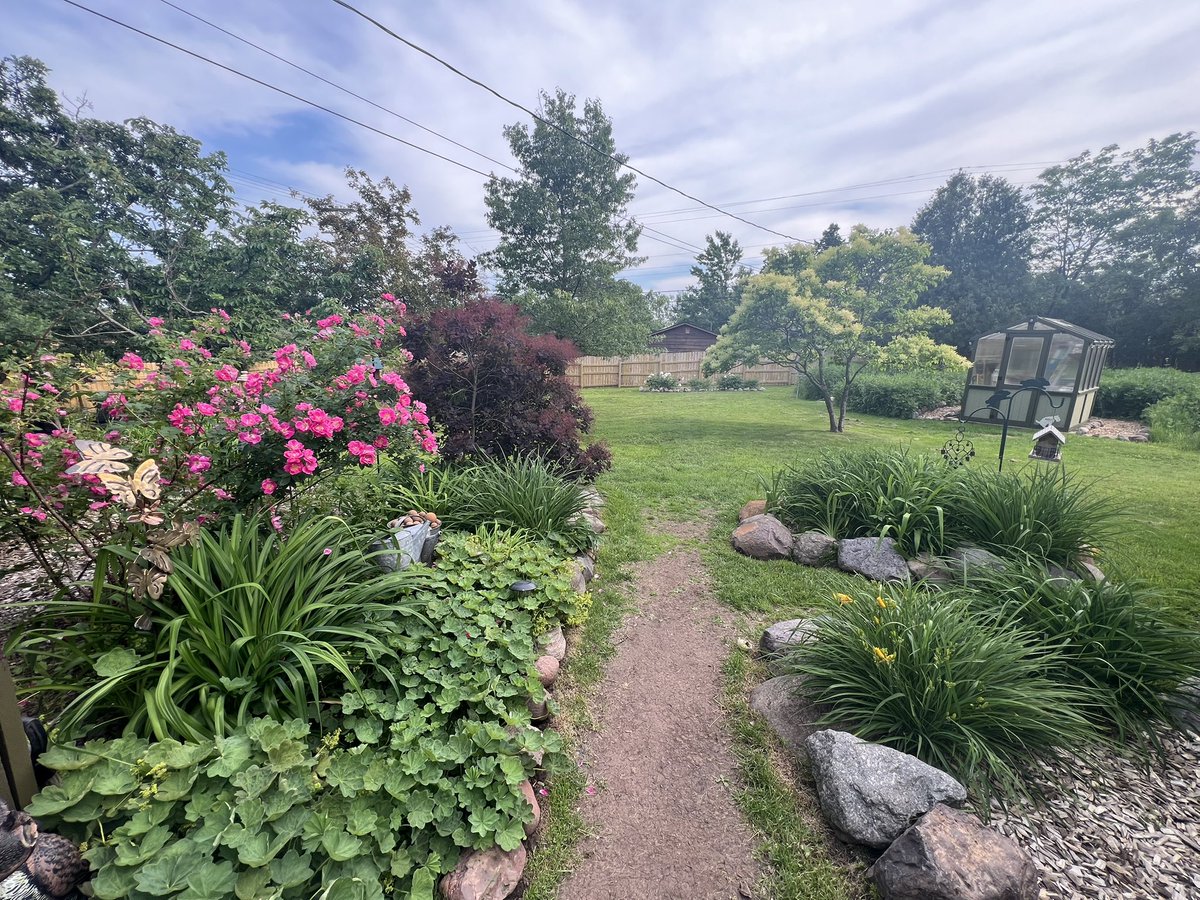 chrisplys's tweet image. I’m like a British lady in my garden.

- Bob Belcher