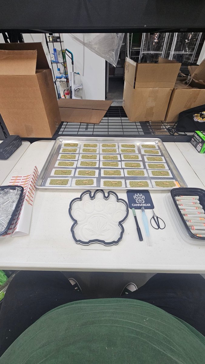 Another day at work 🐻🔥🤙🏽

#CannabisCommunity #WeedLife #420friendly #CannabisCulture #Hashhole #HighBearNation