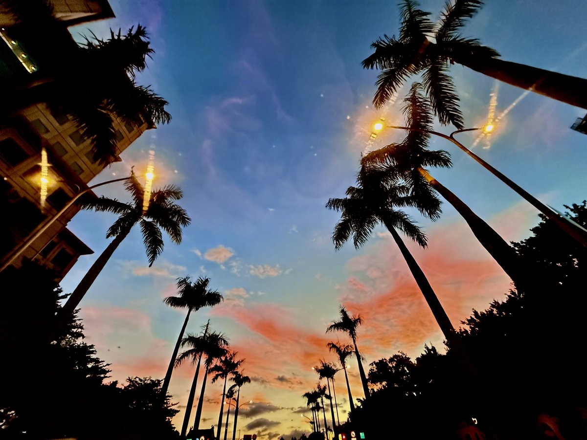 Daniel Chen tweet media