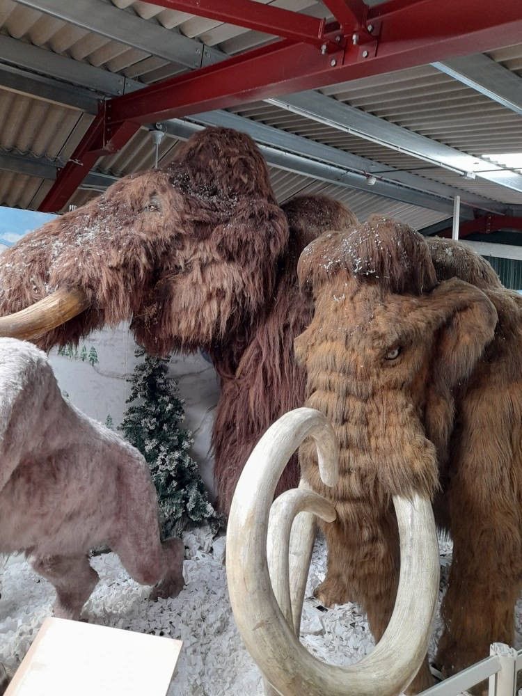 This is just the beginning 

<a href="/WoollyOnEth/">Miniature Woolly Mammoth</a> is just getting started 

There is more to come sir