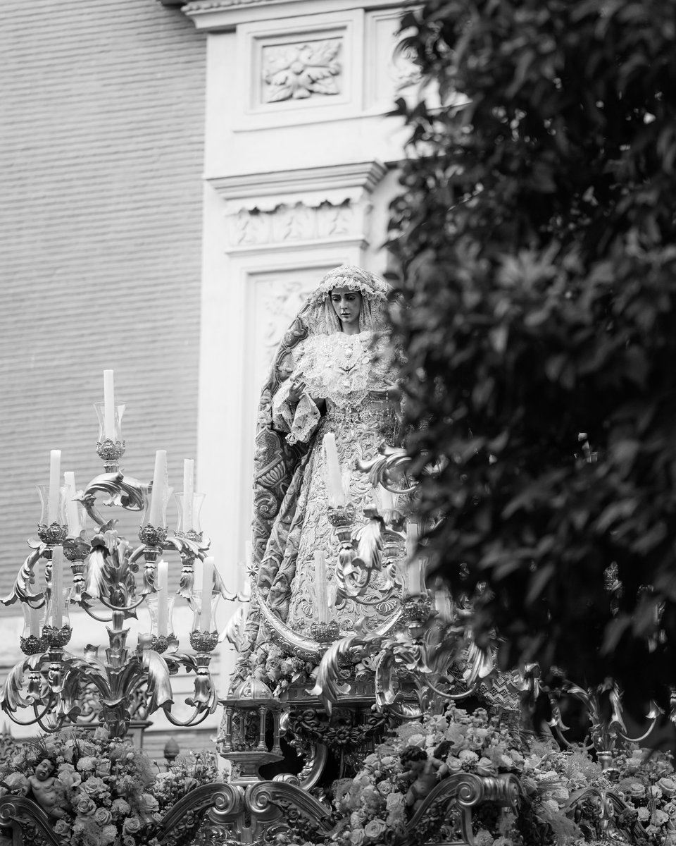 𝐀𝐋 𝐃𝐄𝐓𝐀𝐋𝐋𝐄 | El Traslado de la Coronación.

#ElCaminohacialaCoronación 1/2  

© Tomás Quifes 📸