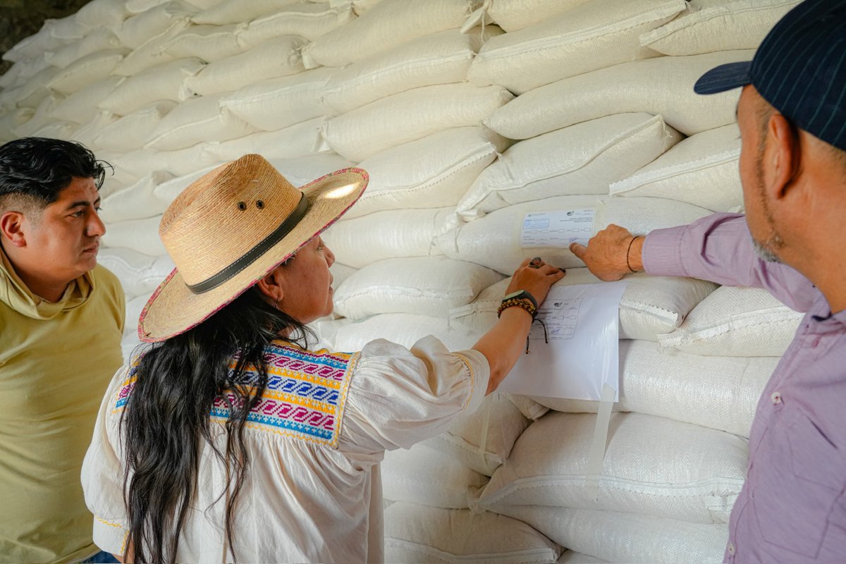 Esta mañana, junto al equipo de <a href="/alimenbienestar/">Alimentación para el Bienestar</a>, recorrimos el Granelero Atlacomulco y el Centro de Acopio San Miguel Bocanegra, donde dialogamos con las y los compañeros que los integran y revisamos de cerca el trabajo que se realiza con uno de los granos más importantes para