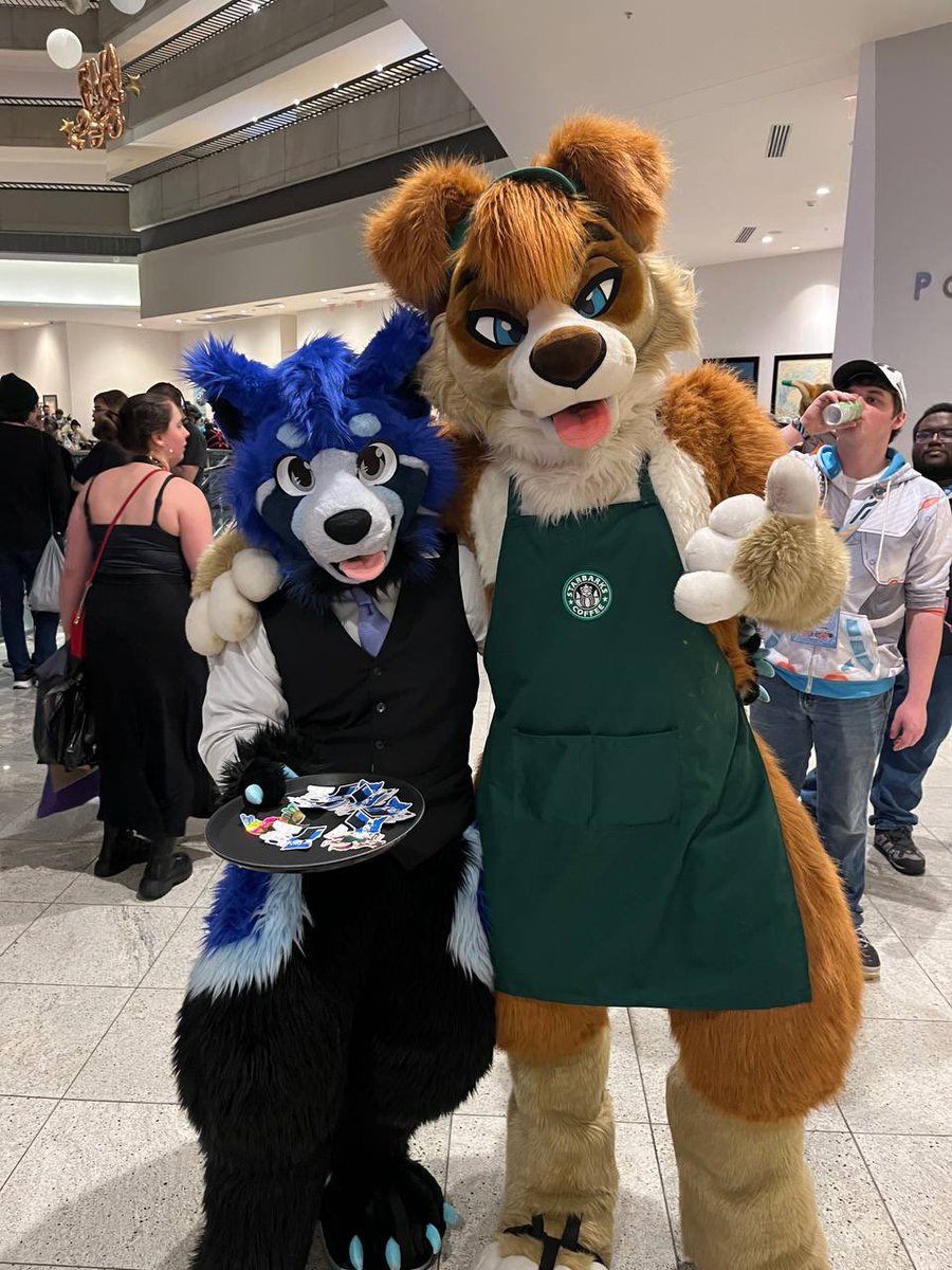 AcePandaMagic's tweet image. Not really a waiter with not really a barista.
馃惗鈽曪笍: @AngusAussies
馃馃У: @wolf_daz
馃摲: @azahusky
#FursuitFriday