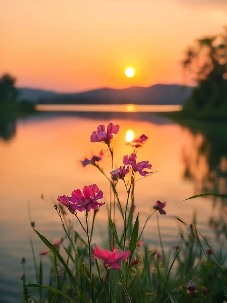 ﷽
السلام علیکم ورحمتہ اللہ وبرکاتہ🌹
#درود_وسلام

اللہ آپکوآقا #خاتم_النبیین_محمدﷺّ کی کامل اتباع نصیب فرمائےروزمحشرعرش کا سایہ نصیب فرمائےآمین

💚🩶فِدَاکَ اَبِیْ وَاُمِّیْ وَرُوْحِیْ وَقَلْبِیْ یَاسَیِّدِیْ یَارَسُوْلَ اللّٰه🩶💚

     💚🩶םבםבﷺ🩶💚
صبح بخیر 🤍