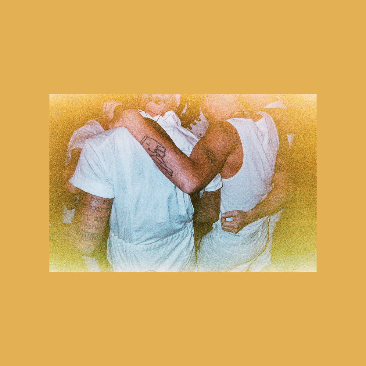 sean flanigan tweet media