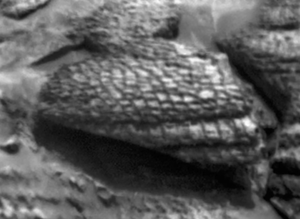 paulsanderson's tweet image. Some interesting rocks that the #Curiosity rover recently came across on #Mars, on June 13, 2025. They are on a mountain slope in the distance. Honeycomb-like textures that kind of look like snakeskin. 😉🤔
See also this new video from Mars Guy:
youtube.com/watch?v=eGzZj2…