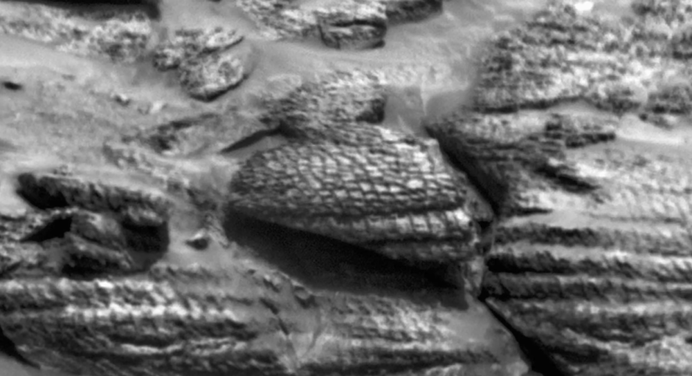 paulsanderson's tweet image. Some interesting rocks that the #Curiosity rover recently came across on #Mars, on June 13, 2025. They are on a mountain slope in the distance. Honeycomb-like textures that kind of look like snakeskin. 😉🤔
See also this new video from Mars Guy:
youtube.com/watch?v=eGzZj2…