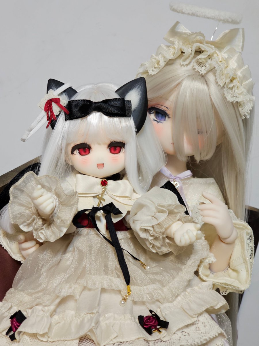 子猫捕まった❤
#おはドル 
#tinyfox 
#ゆずぽん子