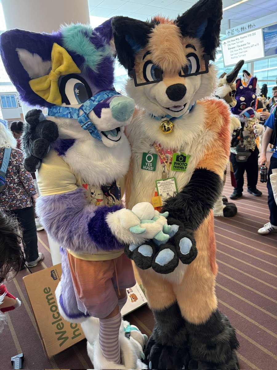 FadedFox's tweet image. FURSUIT FRIDAY AT ANTHROCON, my suit debut con me and @SoarinTF2 offer you...the egg..